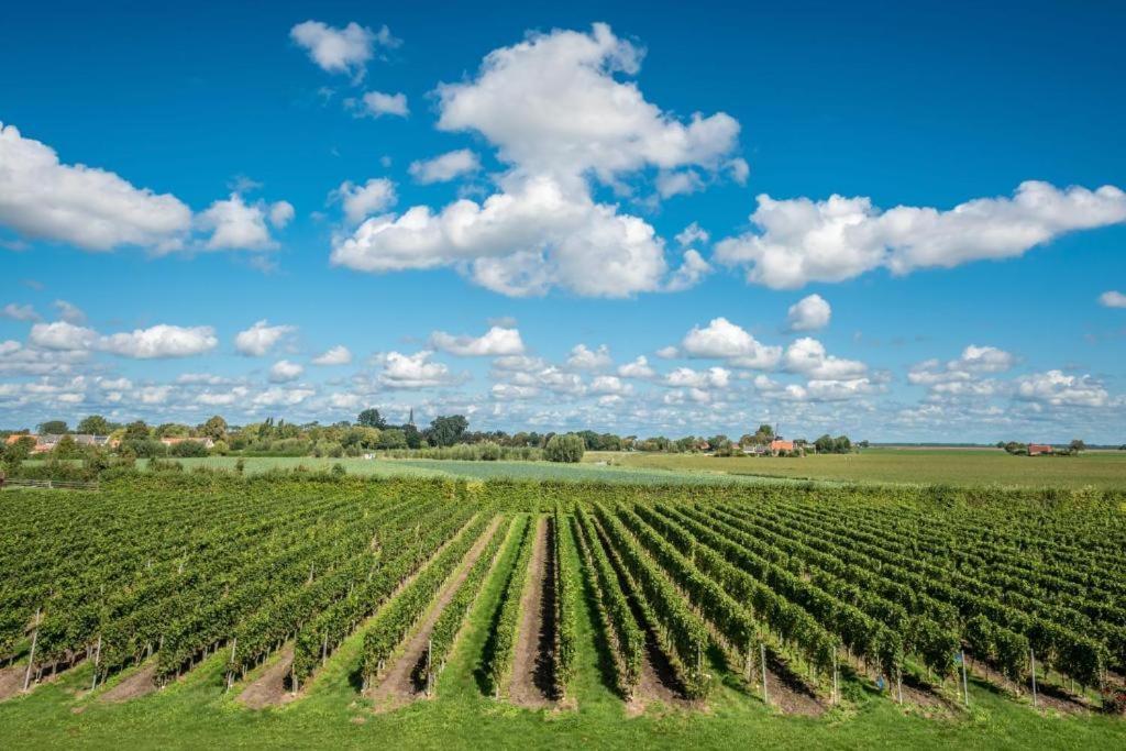 Wine-Barrel Rivaner Dreischor Exterior foto